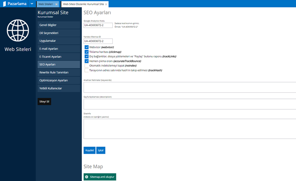 Web Siteleri Seo Ayarları