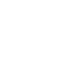 Netsis