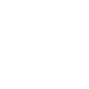 Netsis